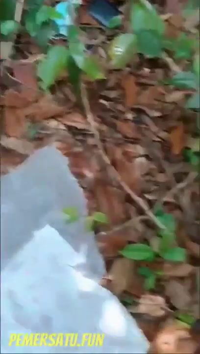 b0k3p Esempeh Nekat Mesum ew3kk Di Hutan